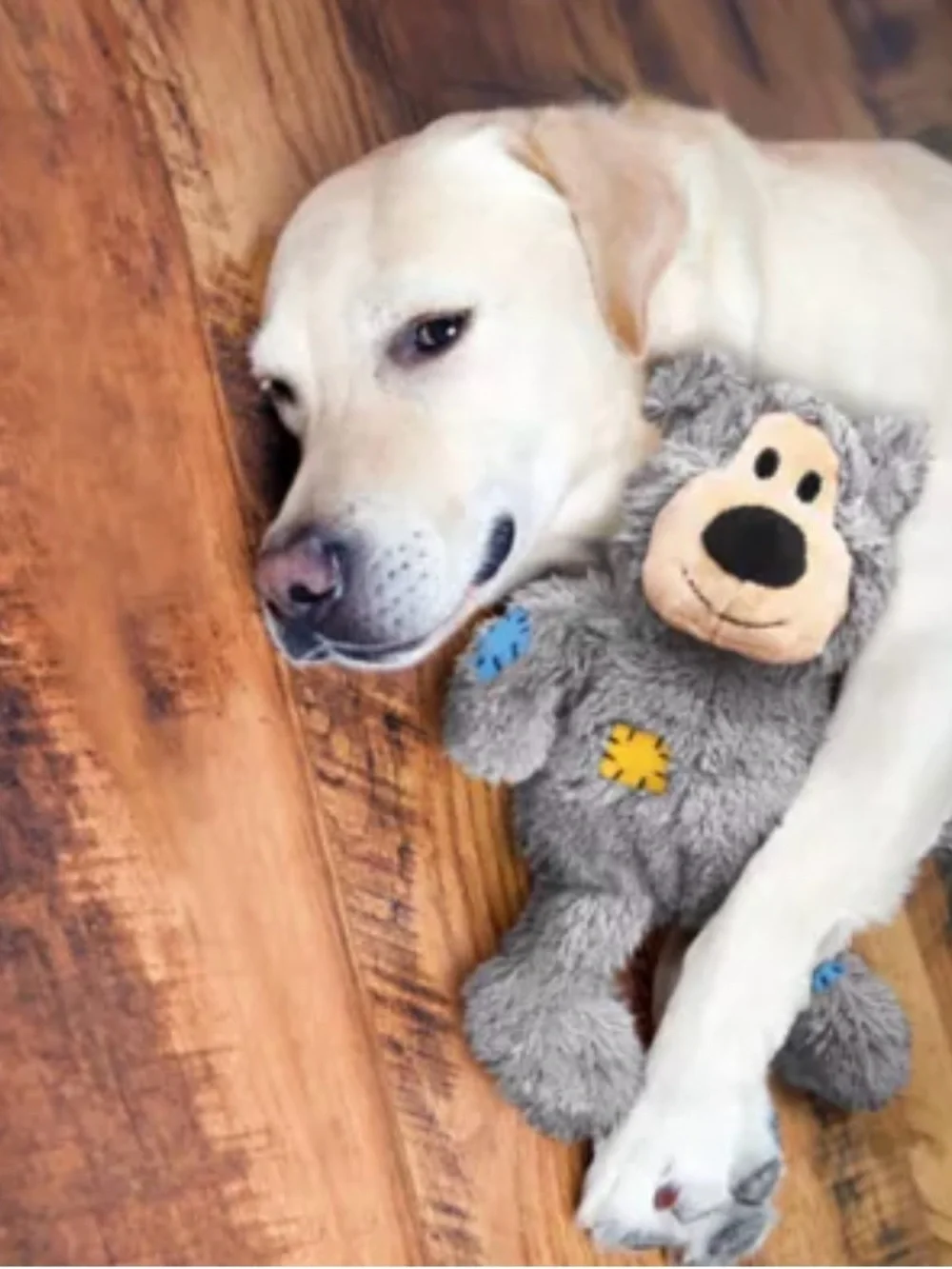 KONG Brown Plush Bear Dog Toy